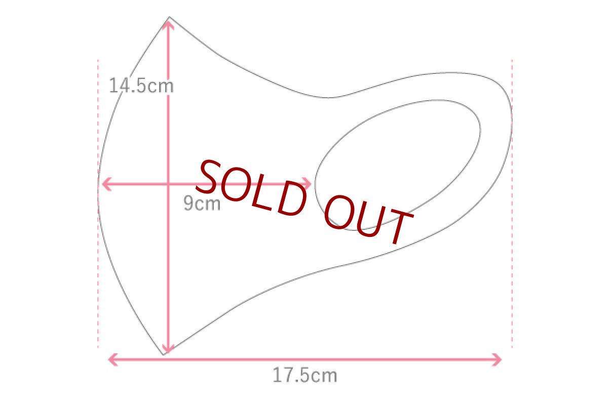 画像4: RODROCK × METALIC MASK SET (4)