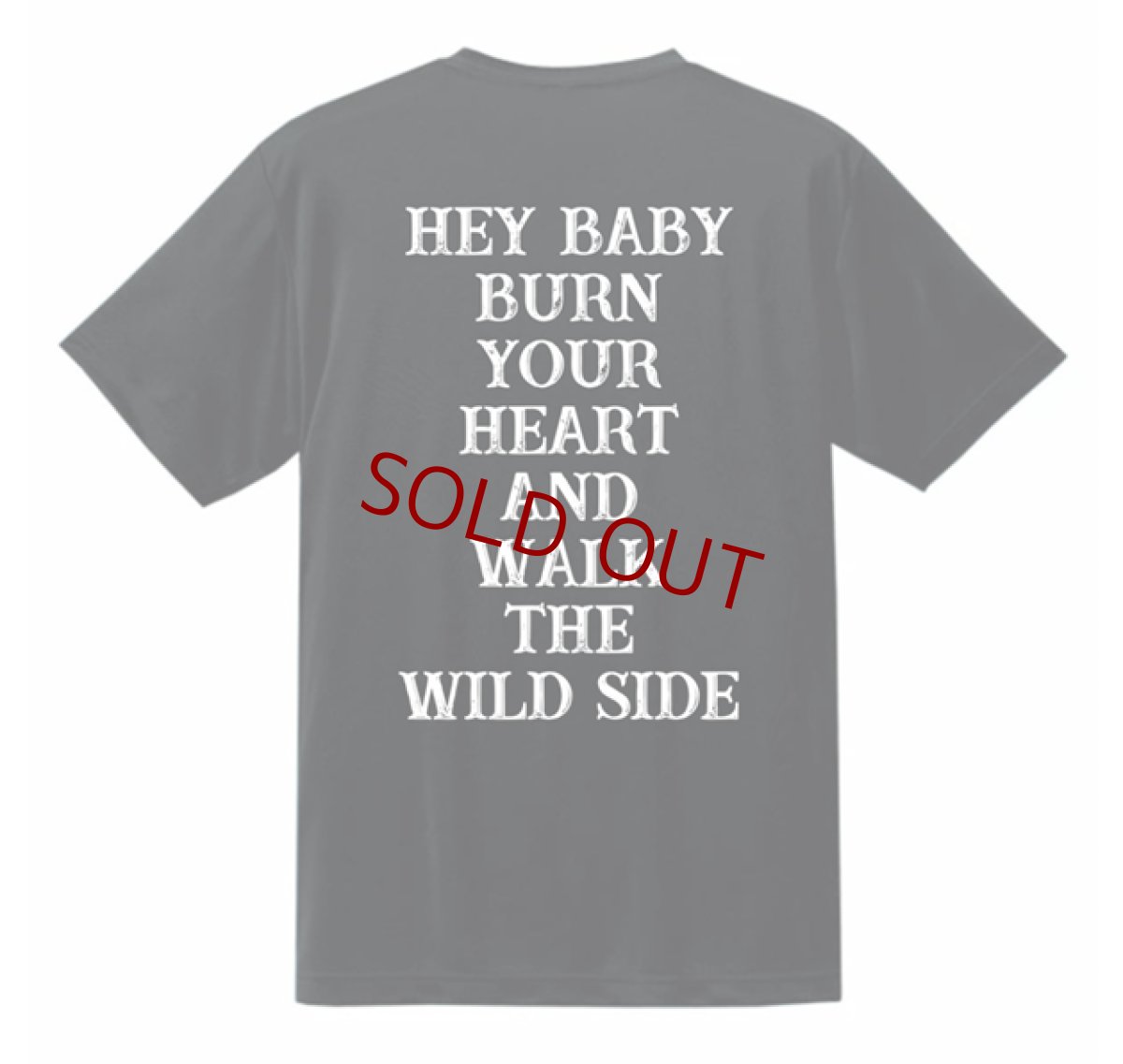 画像2: 【受注生産】RODROCK NEW TEE 2022 -GO THROUGH THE WILDNESS- (2)