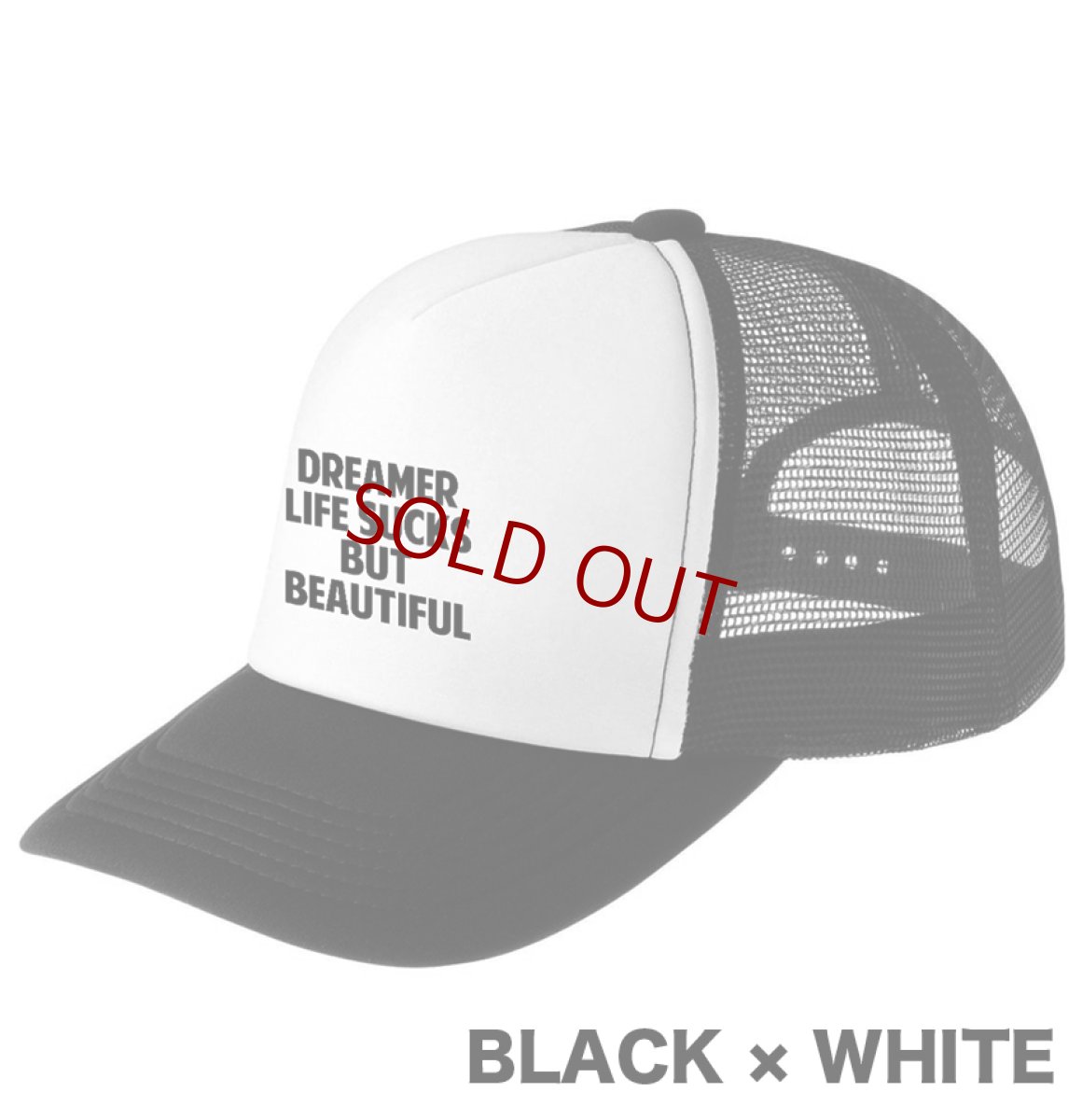 画像2: 【受注生産】RODROCK MESH CAP (2)