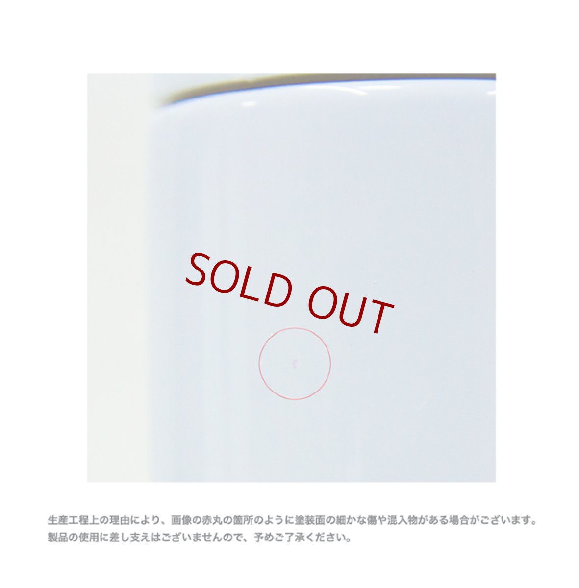 画像9: 【受注生産】RODROCK Stainless Thermos Bottle (9)